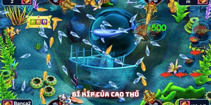 Bí kíp của những người chơi lão luyện!