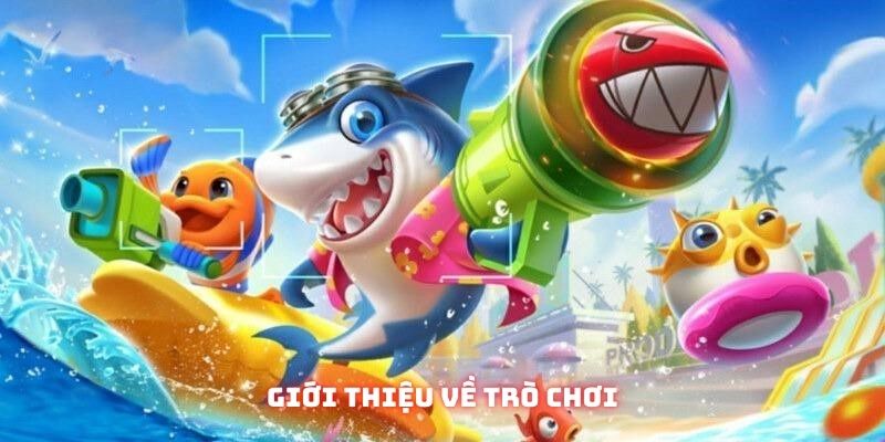 Săn cá siêu to khổng lồ!