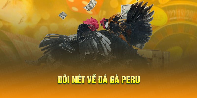 Tổng quan về hình thức đá gà Peru